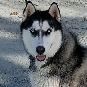 Meet your Posher, Ashlee